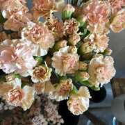 ヒメ日記 2026/04/13 13:12 投稿 リーサ ピンクコレクション尼崎店