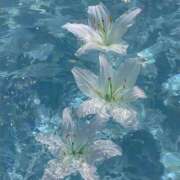 ヒメ日記 2026/04/26 16:38 投稿 リーサ ピンクコレクション尼崎店