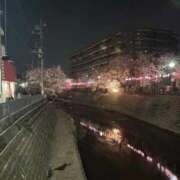 ヒメ日記 2026/03/31 18:21 投稿 らむ One More奥様　蒲田店