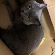 ヒメ日記 2025/12/09 11:54 投稿 こまち パリス雄琴店