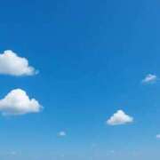 ちわわ 出勤 しろうとCollection