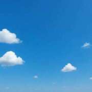 ヒメ日記 2025/12/08 09:57 投稿 ちわわ しろうとCollection