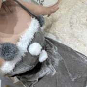 ヒメ日記 2025/12/06 00:37 投稿 むつき The White