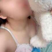 ヒメ日記 2026/03/04 13:57 投稿 むつき The White