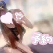 ヒメ日記 2025/10/28 12:05 投稿 ひな♪ 水色りぼん