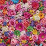 ヒメ日記 2025/10/24 18:18 投稿 あけみ 丸妻 厚木店