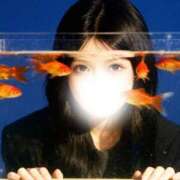 ヒメ日記 2025/11/25 21:14 投稿 結由-ゆゆ【FG系列】 ほんつま 沼津店 (FG系列)