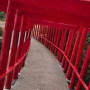 ヒメ日記 2025/12/28 12:38 投稿 ほのか ぽっちゃりプリンセス