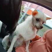 ヒメ日記 2026/01/06 07:07 投稿 ほのか ぽっちゃりプリンセス