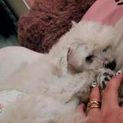 ヒメ日記 2026/01/15 18:00 投稿 ほのか ぽっちゃりプリンセス