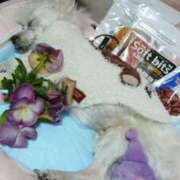 ヒメ日記 2026/01/22 23:12 投稿 ほのか ぽっちゃりプリンセス