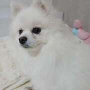 ヒメ日記 2026/02/02 20:17 投稿 ほのか ぽっちゃりプリンセス