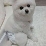 ヒメ日記 2026/02/18 04:36 投稿 ほのか ぽっちゃりプリンセス