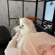 ヒメ日記 2026/04/17 08:10 投稿 ほのか ぽっちゃりプリンセス