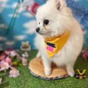 ほのか 夜勤明けのおにー‪🫶🏻‬💕︎︎ ぽっちゃりプリンセス