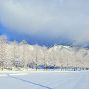 ヒメ日記 2026/01/22 19:13 投稿 ＊ゆりあ＊ Cheers(チアーズ)