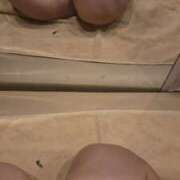 ヒメ日記 2026/02/16 11:32 投稿 なゆ(エッチなこと開拓中) 学園天国