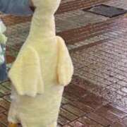 ヒメ日記 2026/01/20 18:58 投稿 なぎさ 白いぽっちゃりさん仙台店