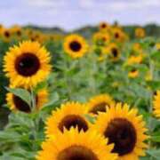 ヒメ日記 2025/11/02 08:34 投稿 華科みずほ（かしなみずほ） 五十路マダムエクスプレス厚木店(カサブランカグループ)