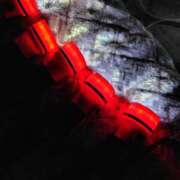 ヒメ日記 2025/12/10 19:30 投稿 華科みずほ（かしなみずほ） 五十路マダムエクスプレス厚木店(カサブランカグループ)