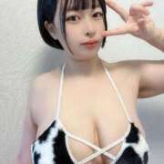 ヒメ日記 2025/11/27 05:41 投稿 フリーダム田中 マリン土浦本店