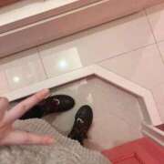 ヒメ日記 2025/11/10 22:25 投稿 うさぎ 池袋マリン別館