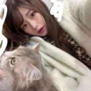 ヒメ日記 2025/11/04 10:56 投稿 神楽もも Claris Tokyo～クラリス東京～