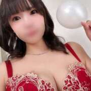 ヒメ日記 2025/11/06 19:20 投稿 ぺこ 妖精（ようせい）