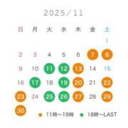 ヒメ日記 2025/11/07 01:00 投稿 ぺこ 妖精（ようせい）