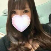 ヒメ日記 2025/11/19 19:05 投稿 ぺこ 妖精（ようせい）