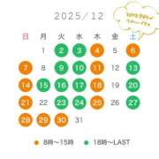 ヒメ日記 2025/12/12 13:00 投稿 ぺこ 妖精（ようせい）