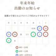 ヒメ日記 2025/12/26 12:00 投稿 ぺこ 妖精（ようせい）
