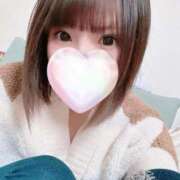 ヒメ日記 2026/02/07 21:55 投稿 ぺこ 妖精（ようせい）