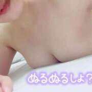 ヒメ日記 2026/07/29 20:05 投稿 ぺこ 妖精（ようせい）