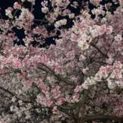 こはる たっぷり、、、♡♡ ルピナスパルフェ