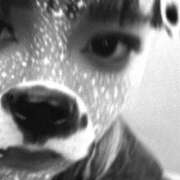 ヒメ日記 2026/04/05 01:30 投稿 れい BABY LIPS