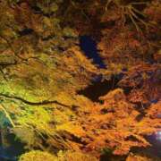 ヒメ日記 2025/11/28 12:15 投稿 いぶき 丸妻 厚木店