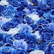 ヒメ日記 2025/12/15 22:13 投稿 いぶき 丸妻 厚木店