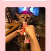 ヒメ日記 2025/11/17 20:10 投稿 あすか マリン池袋北口駅前店