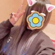 ヒメ日記 2025/12/10 13:36 投稿 ふう 千姫(道後)