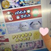 ヒメ日記 2026/01/04 21:15 投稿 ふう 千姫(道後)