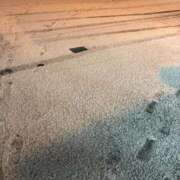 ヒメ日記 2026/01/23 08:30 投稿 ふう 千姫(道後)