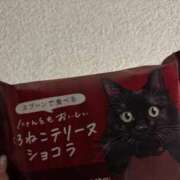 ヒメ日記 2026/02/12 08:01 投稿 ふう 千姫(道後)