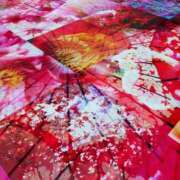 ヒメ日記 2026/08/15 21:59 投稿 ふう 千姫(道後)