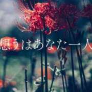ヒメ日記 2026/09/13 21:22 投稿 ふう 千姫(道後)