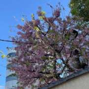 永瀬まり ありがとう💙 やみつきエステ錦糸町店