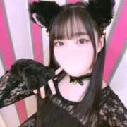 ヒメ日記 2025/11/14 12:10 投稿 うに E+アイドルスクール　大阪・日本橋店