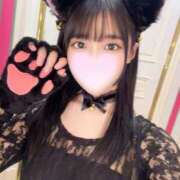 ヒメ日記 2025/11/14 16:13 投稿 うに E+アイドルスクール　大阪・日本橋店