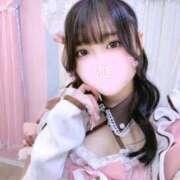 ヒメ日記 2026/07/31 05:05 投稿 うに E+アイドルスクール　大阪・日本橋店