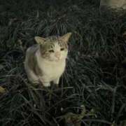 ヒメ日記 2025/11/13 03:43 投稿 ゆきの 神スタイルのエロカワ！ L＆Jブラザーズ